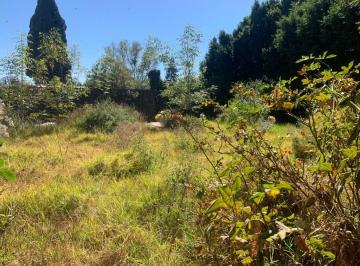 Terreno / Lote , Alvaro Obregón · Magnifico Terreno en Cerrada con Vigilancia