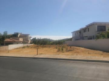 Terreno / Lote · 1290m² · Lote 14 Palmilla Estates - (4)