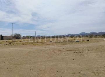 Terreno / Lote · 10000m² · Se Renta Terreno