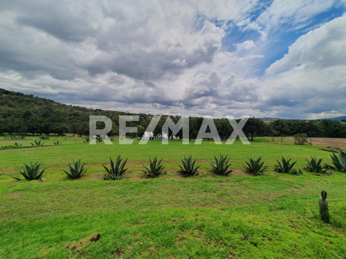 Ranch for Sale in Tlaxco, Tlaxcala - (4)
