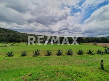 Rancho · 700m² · 3 Recámaras · Venta de Rancho en Tlaxco, Tlaxcala - (4)