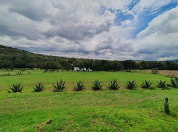 Rancho · 700m² · 3 Recámaras · Venta de Rancho en Tlaxco, Tlaxcala - (4)