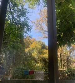 Terreno / Lote , Alvaro Obregón · Terreno Venta Calz. Desierto de Los Leones.