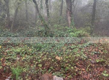 Terreno / Lote · 1099m² · Terreno / Lote en Venta en Bosques de San Ángel Sector Palmillas