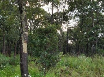 Terreno / Lote · 5000m² · Venta Terreno Espiritu Santo Jilotzingo