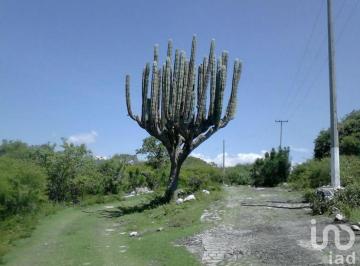 Terreno / Lote · 200m² · Terreno en Venta. Club Manantiales de Ticumán, Tlaltizapan Las Estacas