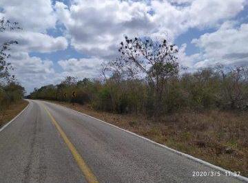 Terreno / Lote · 400000ha · 40 Hectáreas Sobre Carretera Hunucma - Sisal