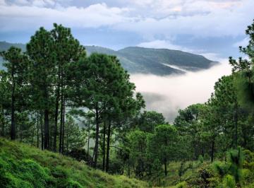 Terreno / Lote , Tapalpa · Tapalpa Country Club