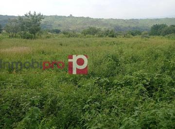 portada · Terreno en Venta en Yecapíxtla Morelos