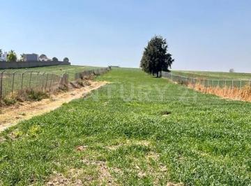 Terreno / Lote · 10105m² · Atención Inversionistas Terreno en Venta 10105 m² Chipilo, San Gregorio Atzompa