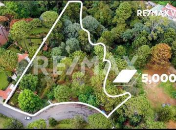 Terreno / Lote · 5000m² · Terreno en Venta - (4)