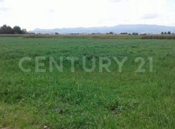 Terreno / Lote · 40000m² · Terreno en Venta en Zinacantepec