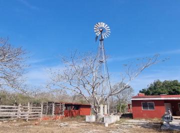 Rancho de 3 habitaciones, Buctzotz · Venta de Rancho Ganadero Buctzotz Yucatán