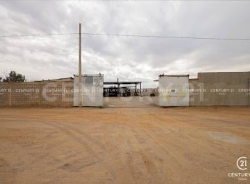 Terreno / Lote · 344m² · Terreno en Renta en Col. 3 de Mayo Chihuahua, Chih.