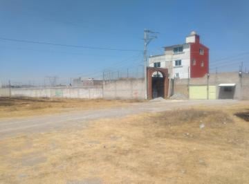 Terreno / Lote , Zinacantepec · Terreno en Venta Zinacantepec Deportiva
