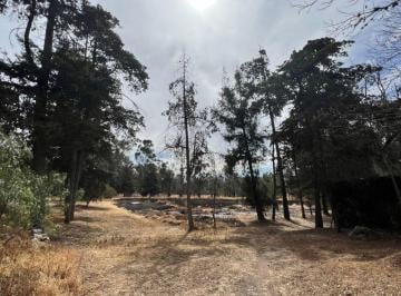 Terreno / Lote · Terreno en Venta con Uso de Suelo Múltiple