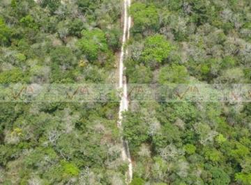 Terreno / Lote · 2000m² · 1 Recámara · 1 Estacionamiento · Terreno / Lote en Venta en Tulum
