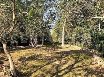 Terreno / Lote · 50000m² · Terreno en Venta en Ruta de Los Cenotes, Cancun