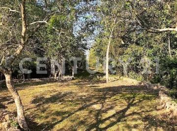 Terreno / Lote · 50000m² · Terreno en Venta en Ruta de Los Cenotes, Cancun