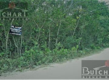 Terreno / Lote · 4000m² · Terreno en Venta 4.000 m² Col. Doctores en Cancun