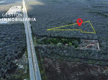 Terreno / Lote · 21378m² · Terreno en Venta en Baca, Merida, Yuc. Ctv284