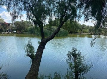 Terreno / Lote , San Miguel de Allende · Hectáreas Campestres ‘los Agaves’ con 2 Pozos de Agua Zona Verde