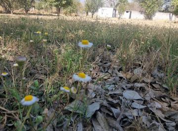Terreno / Lote , Santiago · Venta de Terreno Plano con Pozo de Agua en Los Rodríguez, Santiago Nl