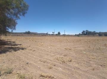 Terreno / Lote , Zempoala · Terreno en 1.1 Hectáreas en Venta Todo o en Zempoala Zona Téllez