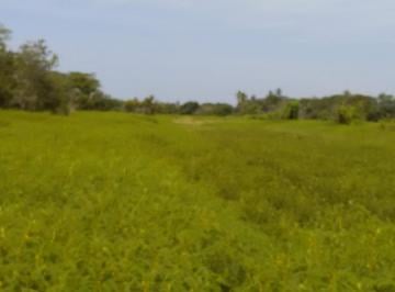 Terreno / Lote · 36000m² · Terreno en Venta en Acapulco Diamante, 36,000 m².