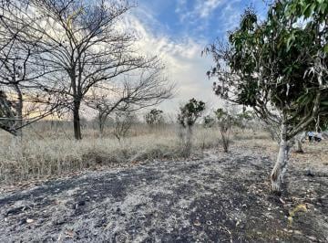 Terreno / Lote · 22500m² · Terreno en Venta en Tamarindo Veracruz Sobre Carretera Frente Al Retén.