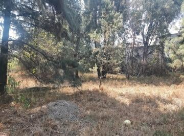 Terreno / Lote , Cuautlancingo · Terreno en Venta Atrás de Plaza San Diego