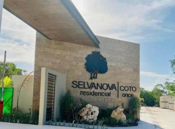 Departamento de 3 habitaciones, Solidaridad · Departamento en Renta Selvanova Coto 11