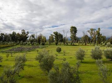 Terreno / Lote , San Miguel de Allende · Lote Santa Lucia