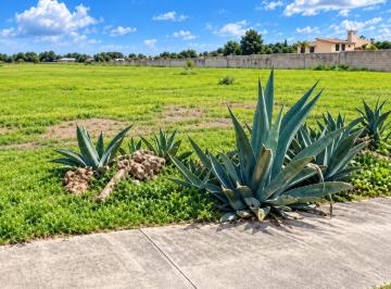 Terreno / Lote , Tecámac · Terreno en Venta Junto Al Aifa