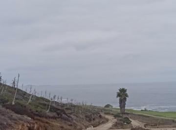 Terreno / Lote · 1596m² · Land For Sale - (4)
