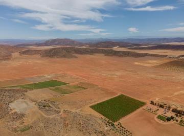Rancho · 1995000m² · 5 Recámaras · Rancho Agrícola en Venta / Baja Investment Agricultural Land - (4)