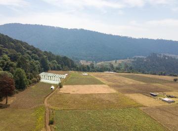 Terreno / Lote · 30560m² · Terreno en Venta - (4)