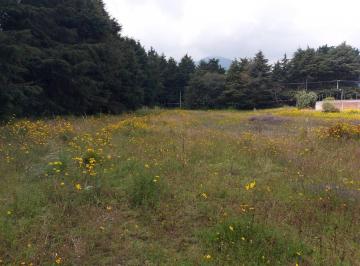 Terreno / Lote , Tlalpan · Venta Terreno en Santo Tomás Ajusco