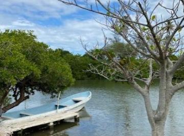 Terreno / Lote · 2500m² · Terreno en Venta Tampico Alto - (4)