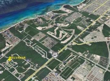 Terreno / Lote , Solidaridad · Venta Lotes Residenciales y Condominales, Lumina con Cenote Para Bañarse