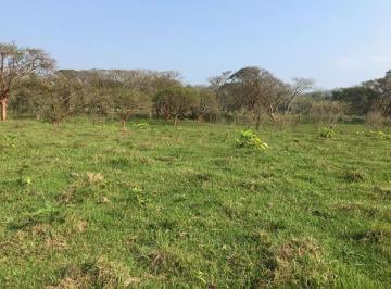 Terreno / Lote · Venta de Rancho Ubicado en Plan de La Vega