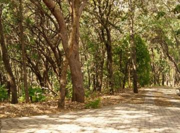 Terreno / Lote , Teuchitlán · Magnifico Terreno en Venta Reserva de Los Encinos, Teuchtitlan, Jalisco