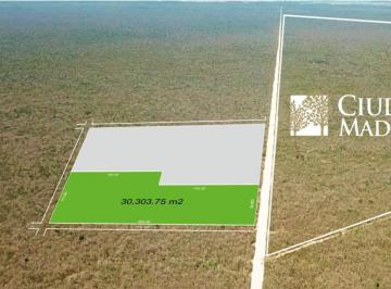 Terreno / Lote · 30303m² · Macro Lote Ideal Para Desarrollar a Pie de Carretera Frente a Ciudad Maderas