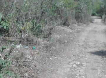 Terreno / Lote , Llera · Terreno en Llera Tamaulipas