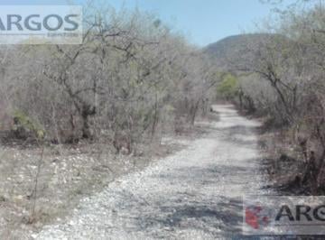 Terreno / Lote · 10000m² · Terreno en Llera Tamaulipas