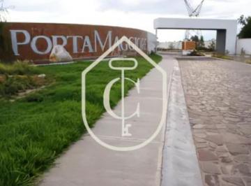 Terreno / Lote , Celaya · Super Precio de 2 Terrenos en Venta en Porta Maggiore