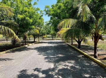 Terreno / Lote · 200m² · Terreno con Alberca y Palapa en Medellín Veracruz