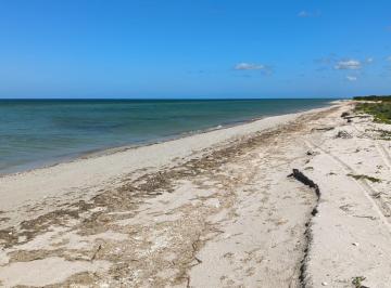 Terreno / Lote · 8756m² · Venta Terreno con 30 m Frente Al Mar en El Palmar, Celestún, Yucatán - (4)