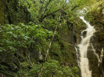 Terreno / Lote , Tapalpa · Terreno en Venta, Sierra Mazati, Tapalpa Jalisco
