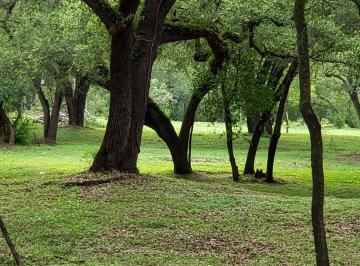 Terreno / Lote , Santiago · Venta Terrenos, Carretera Nacional El Barrial